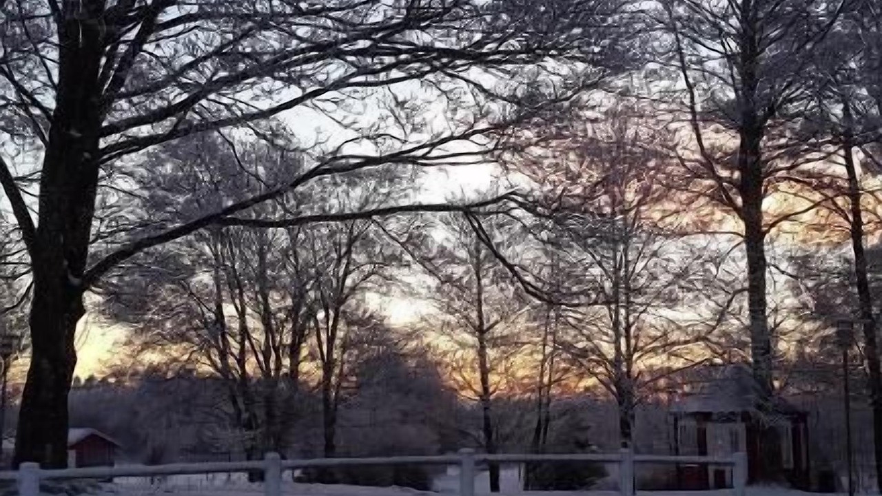 Photo of Outdoor in Billund