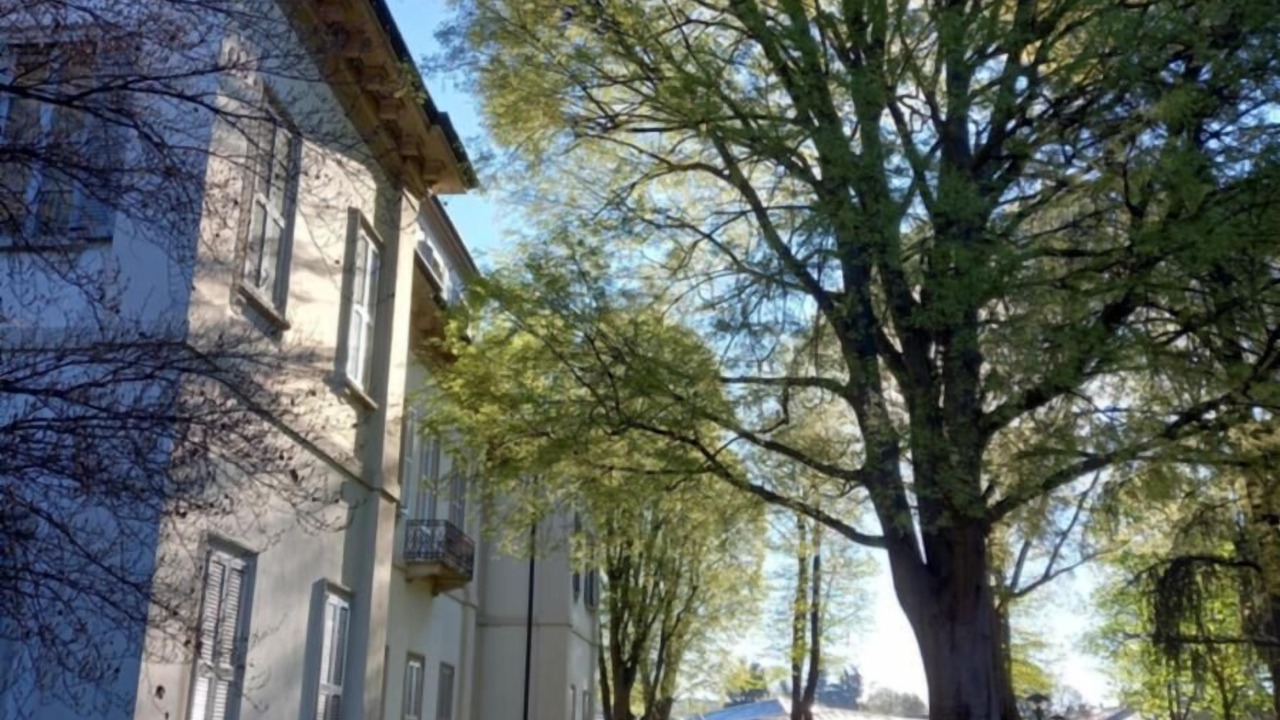 Photo of Outdoor in Cernusco sul Naviglio