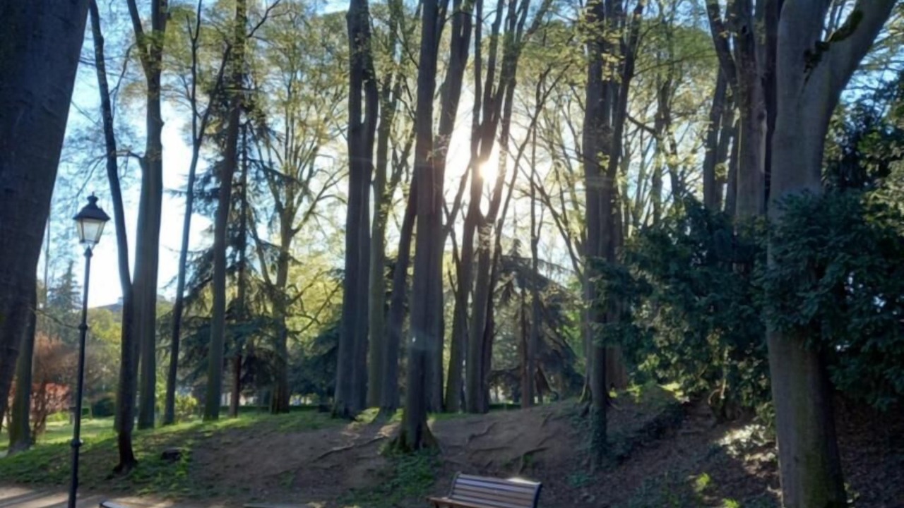 Photo of Outdoor in Cernusco sul Naviglio