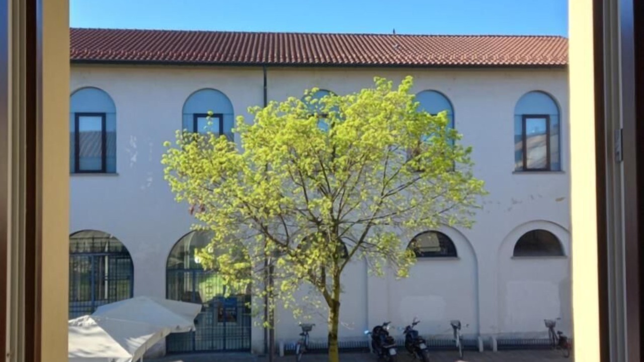 Photo of Others in Cernusco sul Naviglio