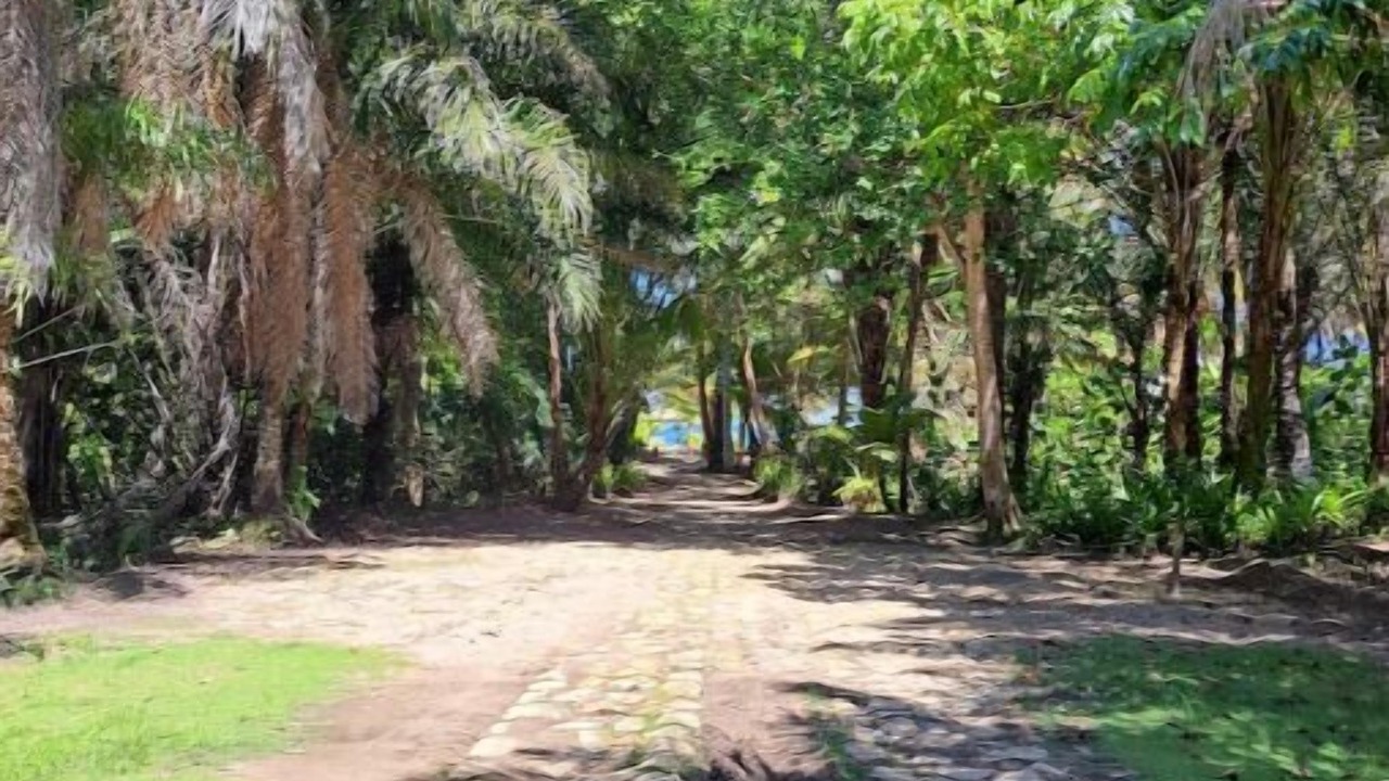 Photo of Outdoor in Barra Grande