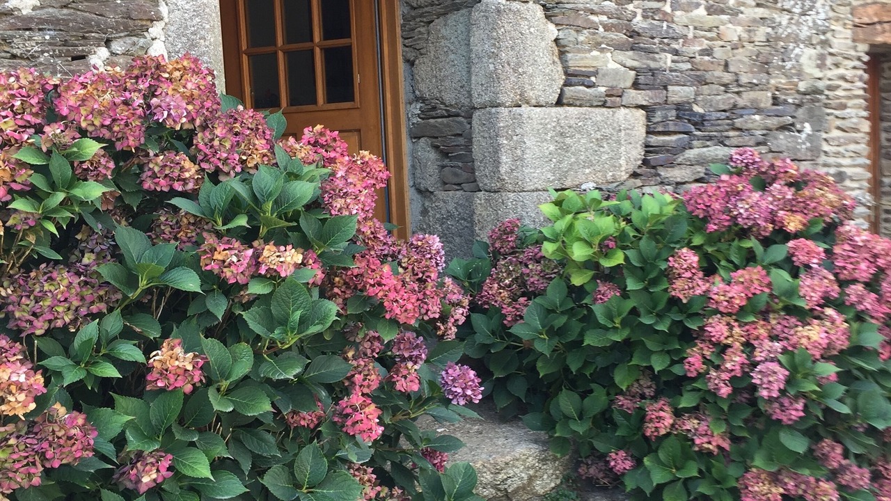 Photo of Outdoor in Saint-Nicolas-du-Pelem