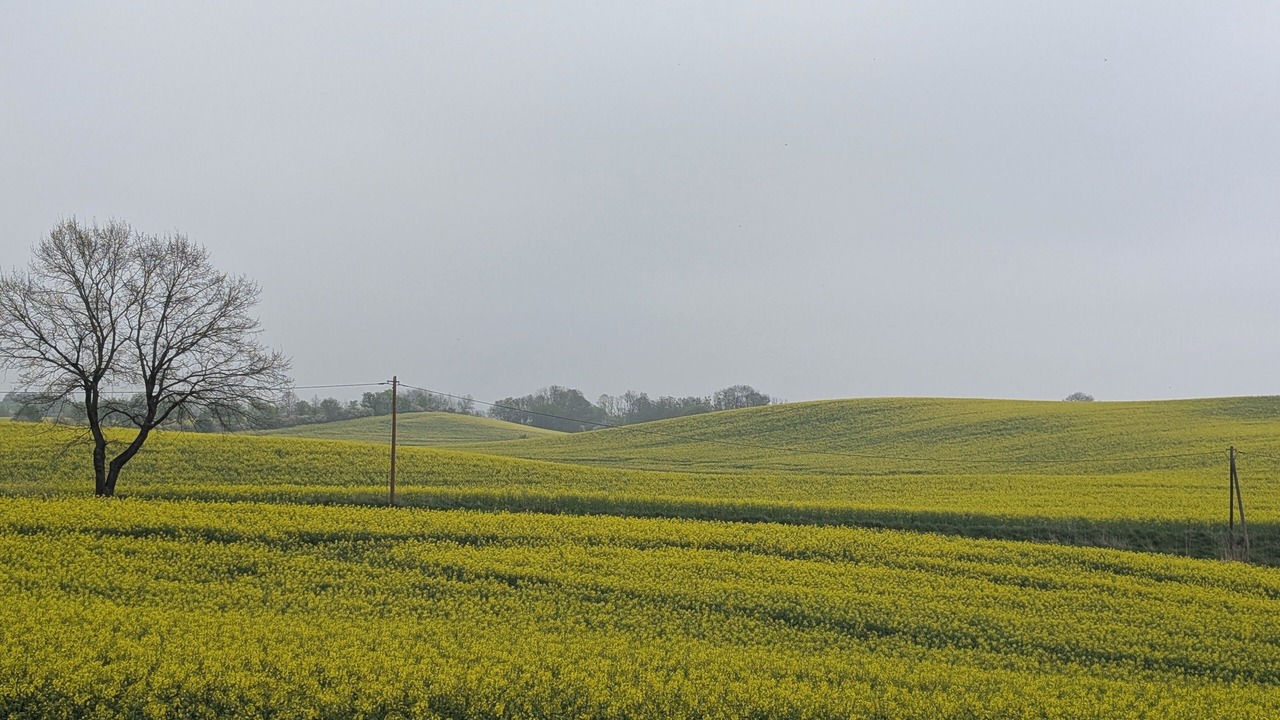 Photo of Others in Gerswalde