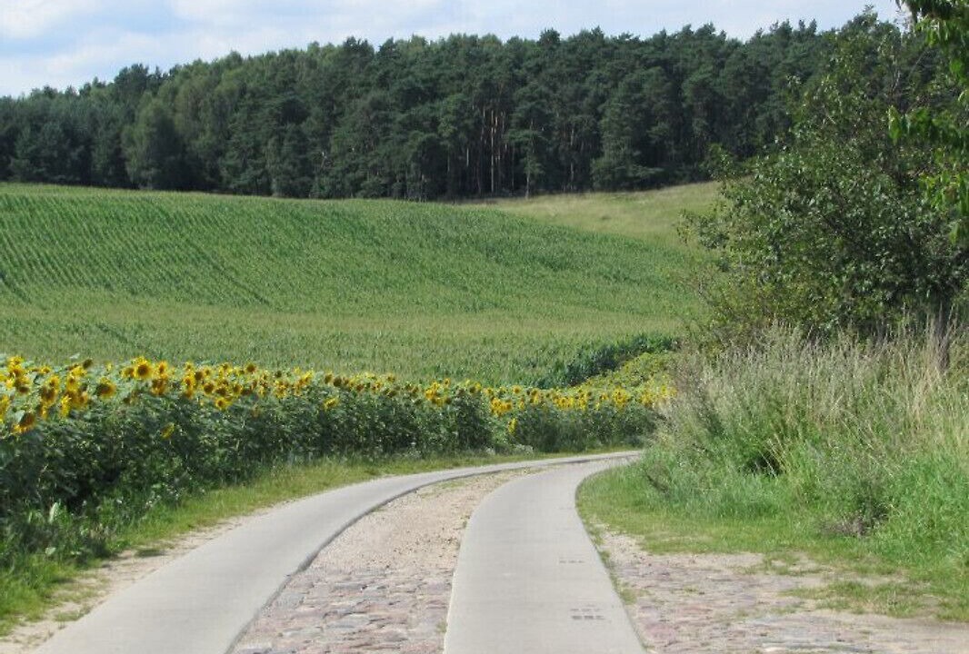 Photo of Others in Gerswalde