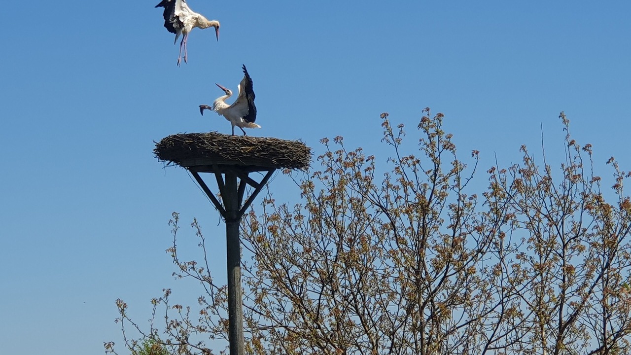 Photo of Outdoor in Gerswalde
