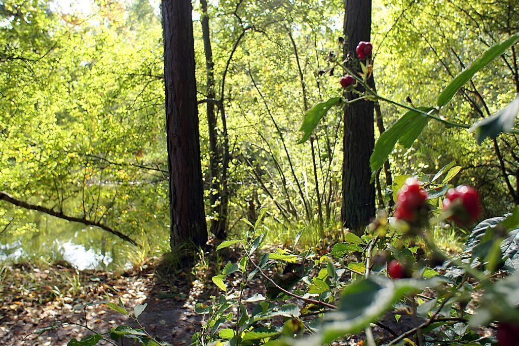 Photo of Outdoor in Mansie
