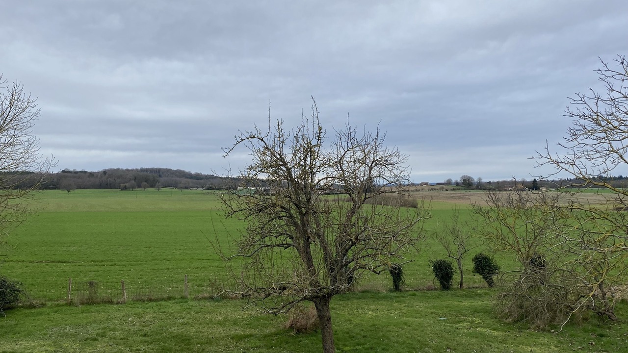 Photo of Others in Dollon