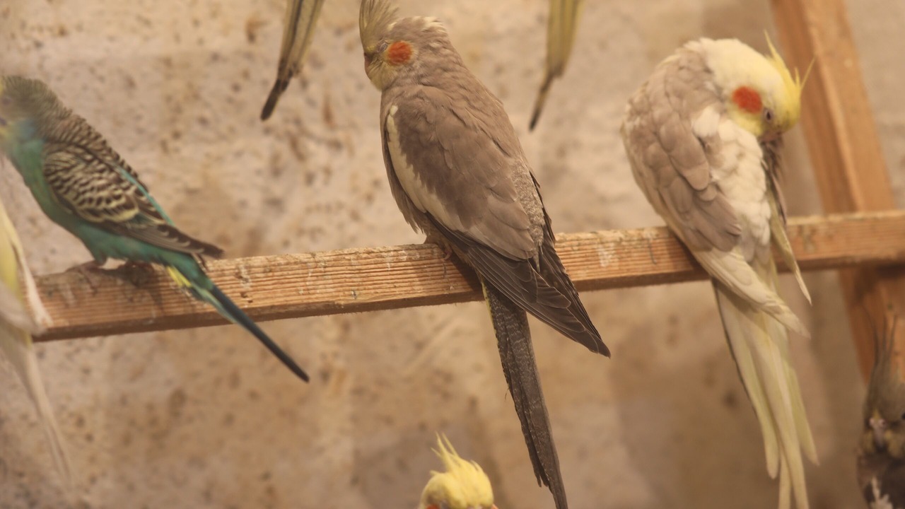 Photo of Others in Bouvet Island