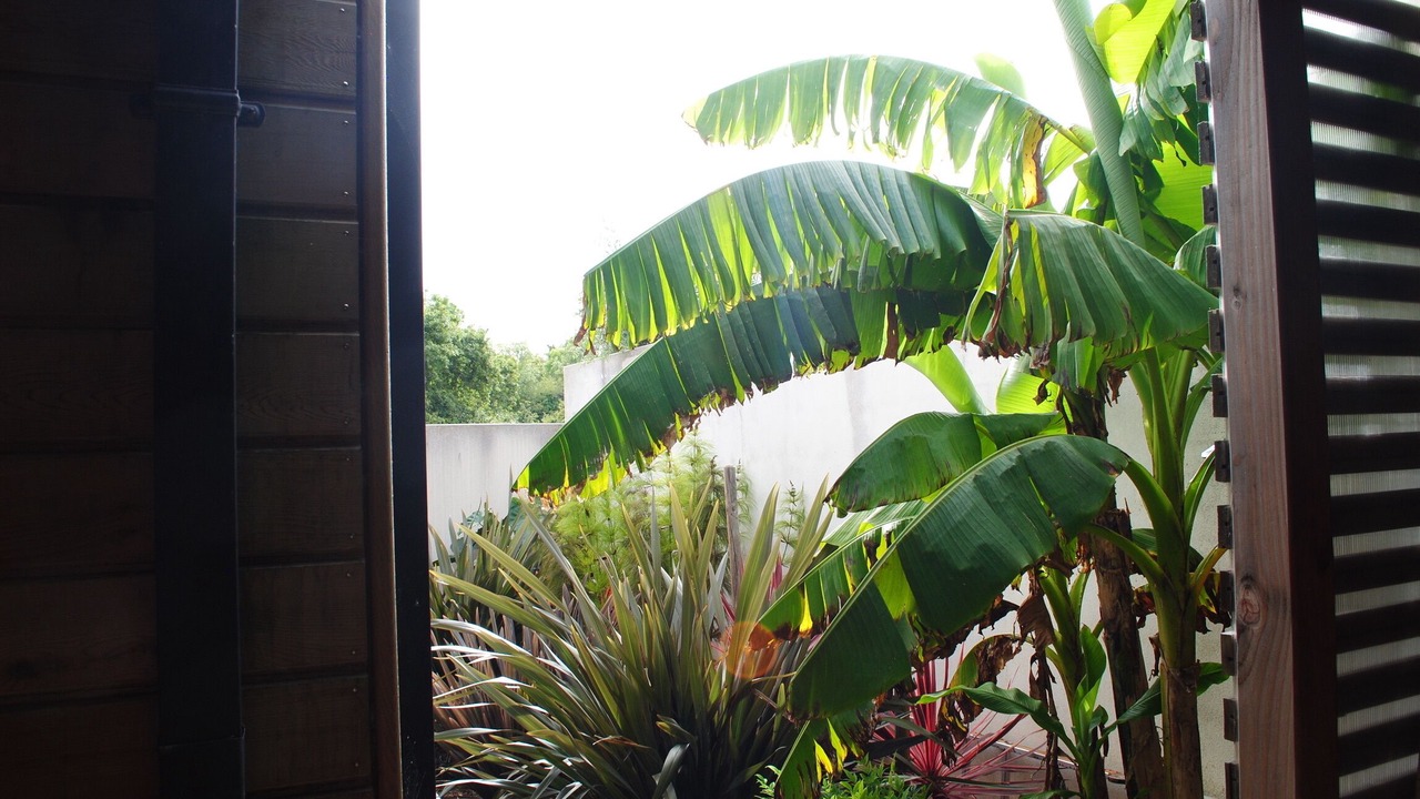 Photo of Outdoor in Plougastel-Daoulas
