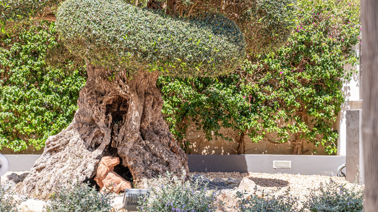 Photo of Outdoor in El Toro