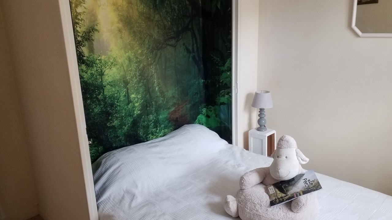 Photo of Bedroom in Mauves-sur-Huisne