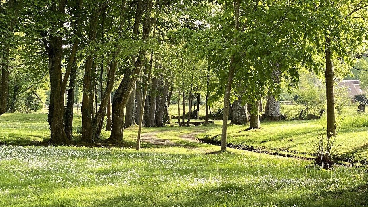 Photo of Outdoor in Longny les Villages