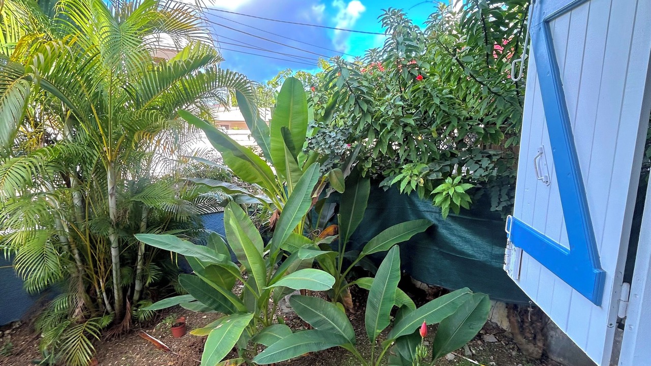 Photo of Outdoor in Les Abymes