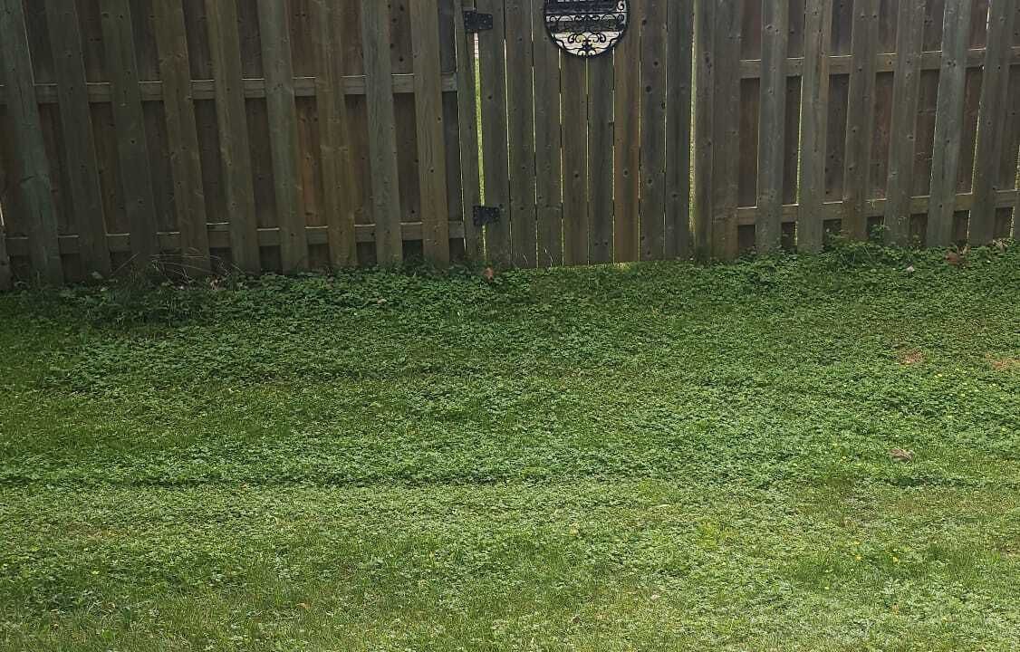 Photo of Outdoor in Breslau