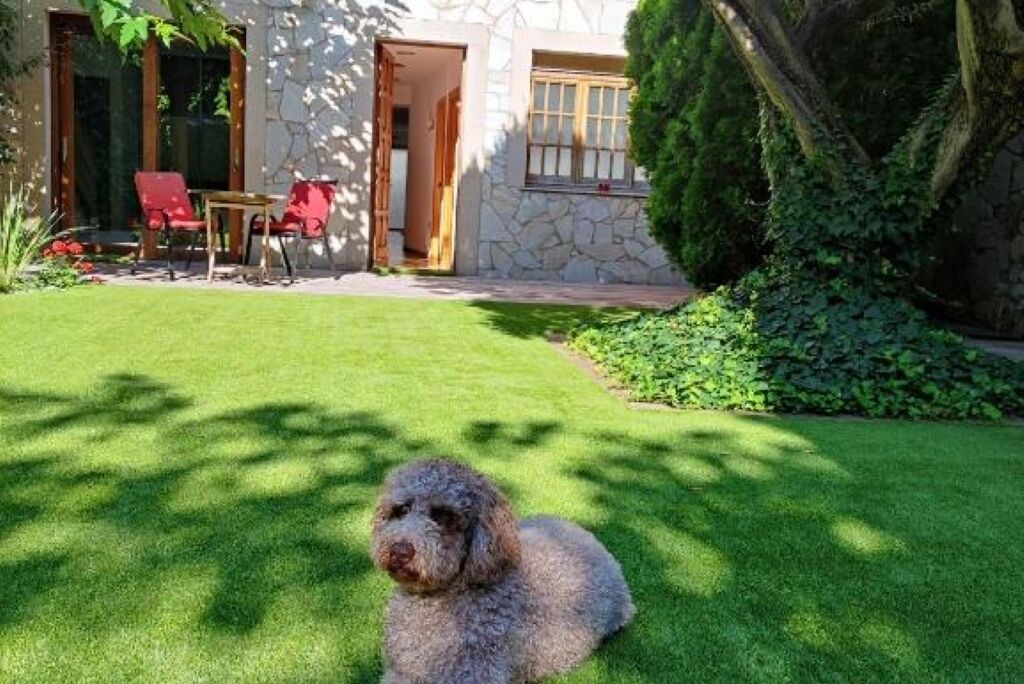 Photo of Outdoor in El Prat de Llobregat