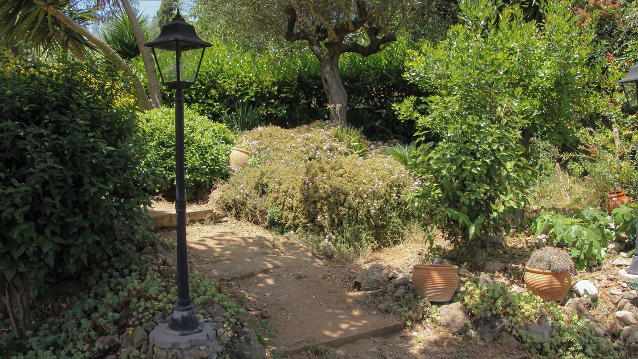 Photo of Outdoor in Vallirana