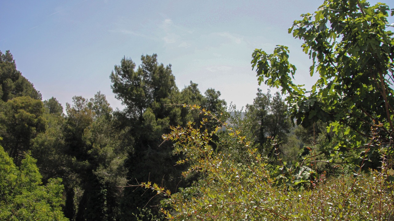 Photo of Others in Vallirana