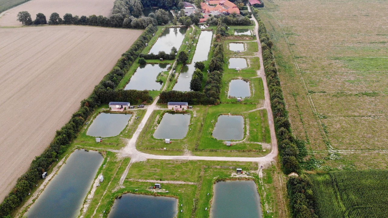 Photo of Outdoor in Weseloh