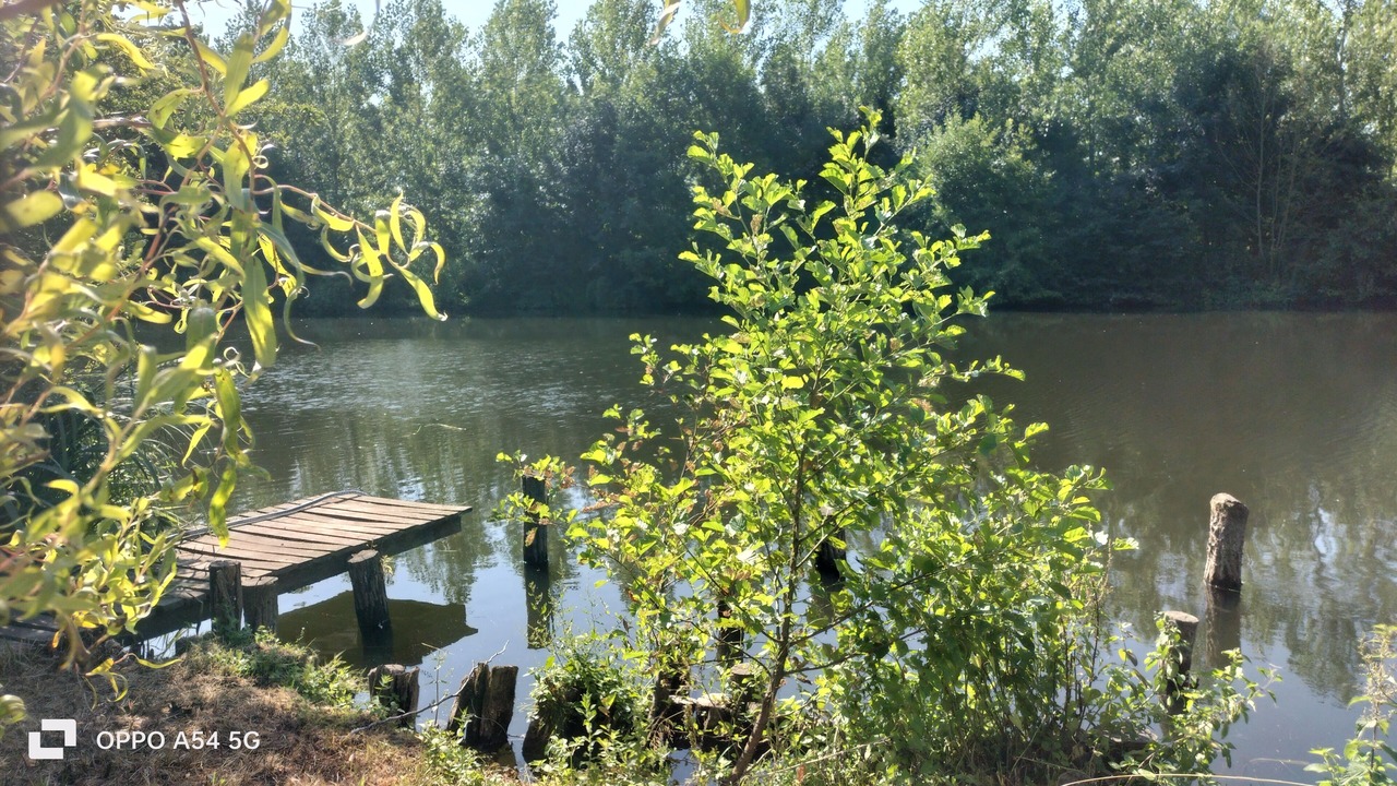 Photo of Others in Cloyes-les-Trois-Rivieres
