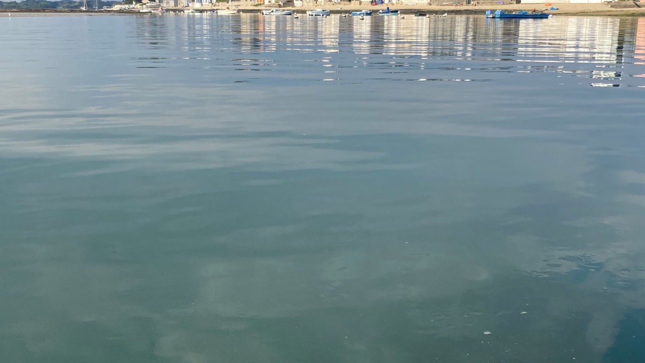 Photo of Others in Finistere