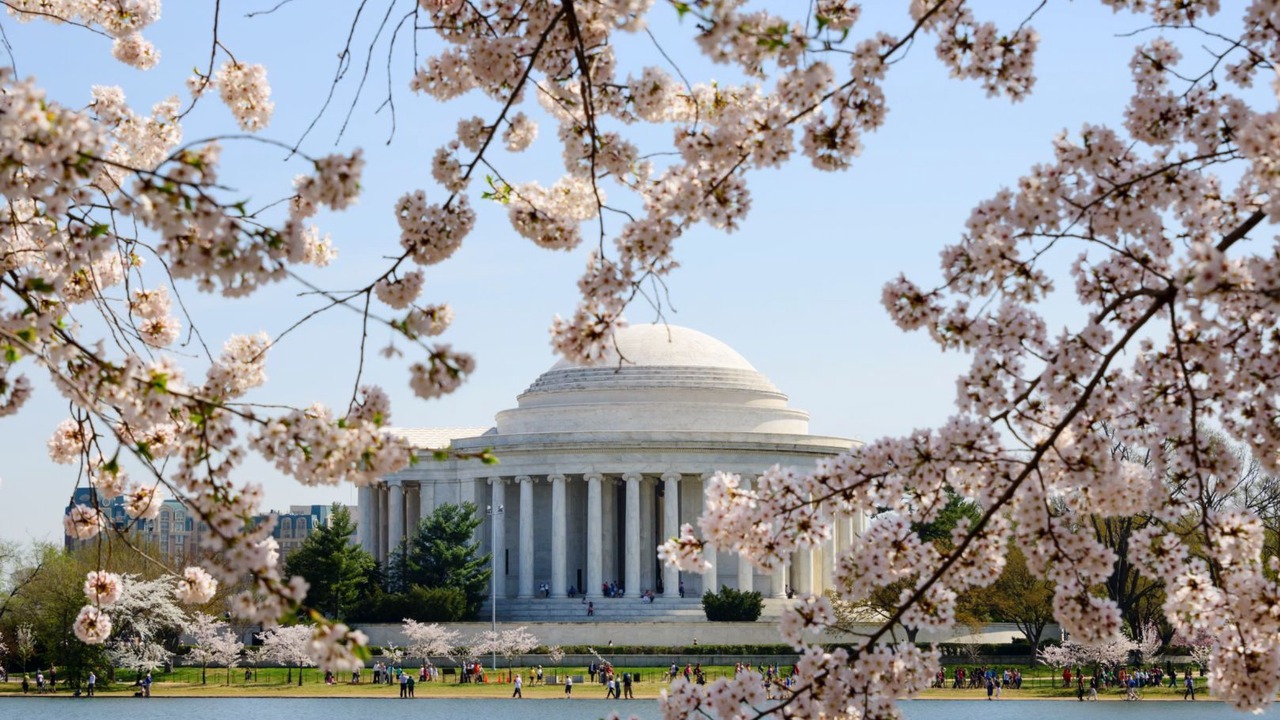 Photo of Others in Capitol Hill