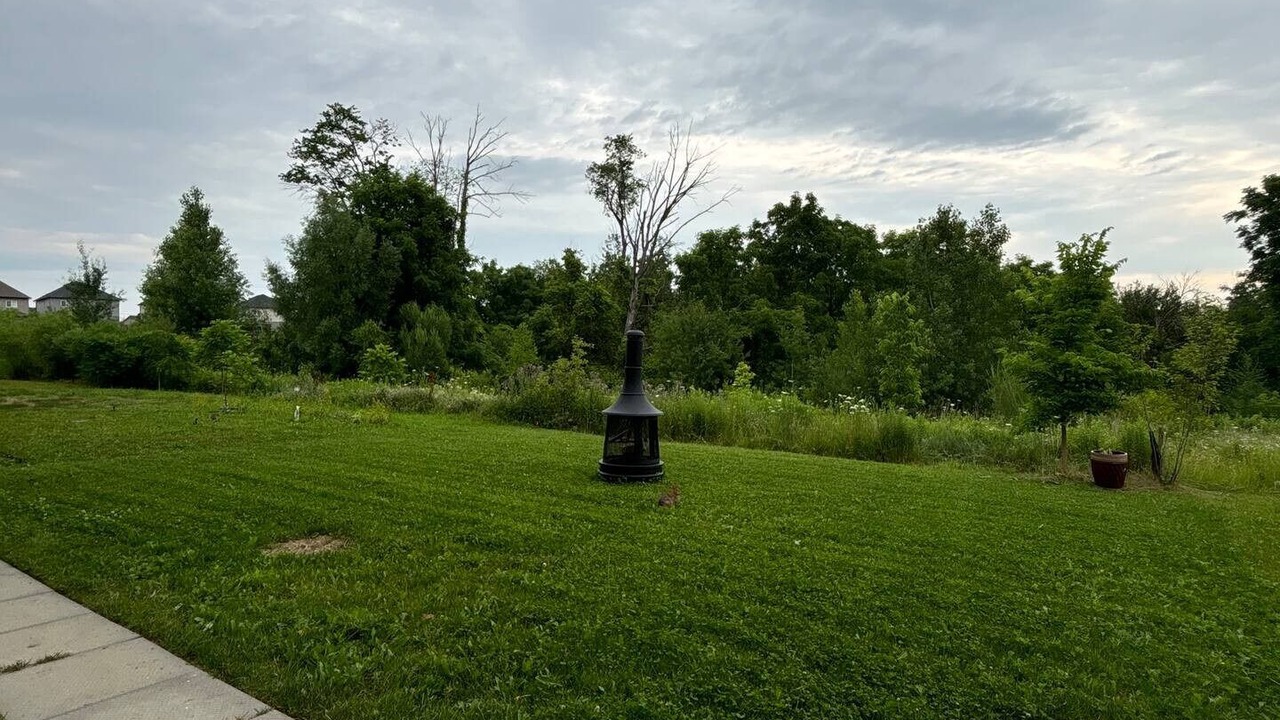 Photo of Outdoor in Doon South