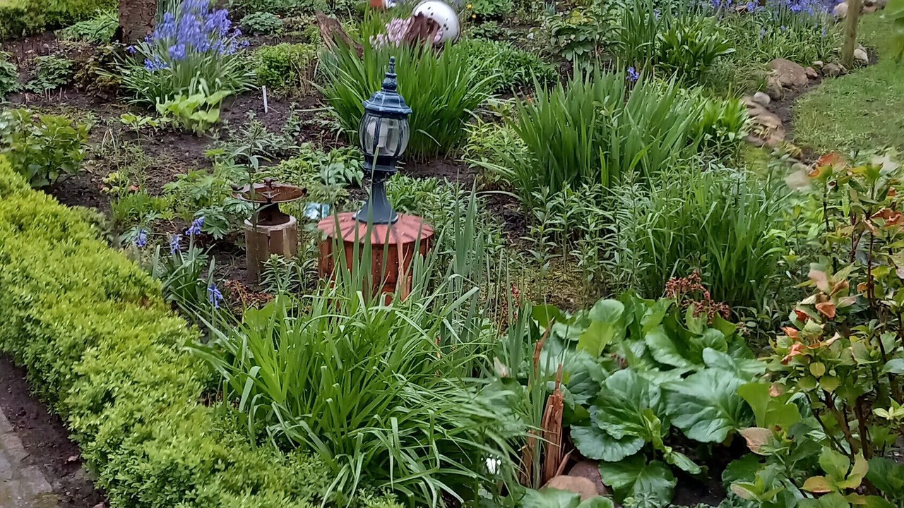 Photo of Outdoor in Westerstede