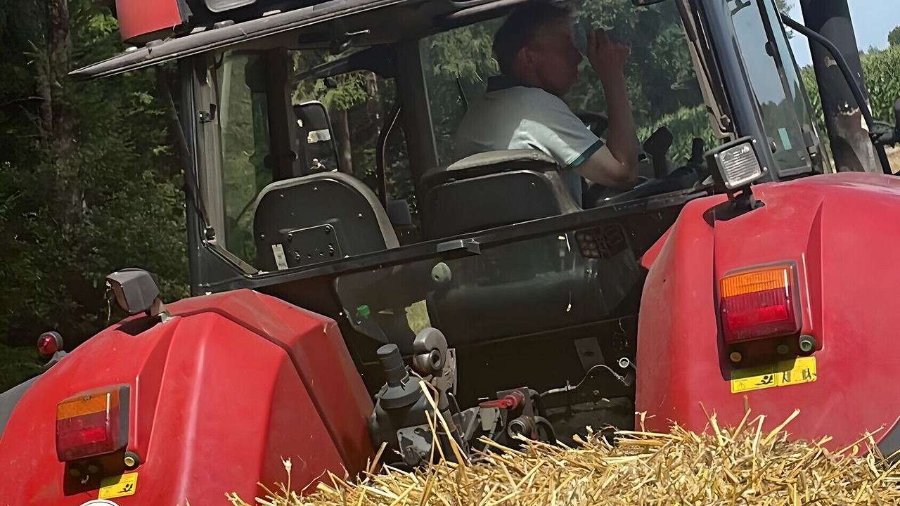 Photo of Others in Westerstede