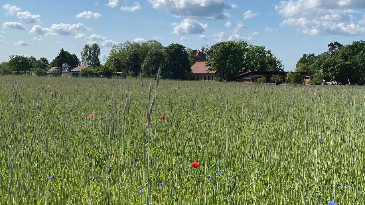 Photo of Others in Hammelspring