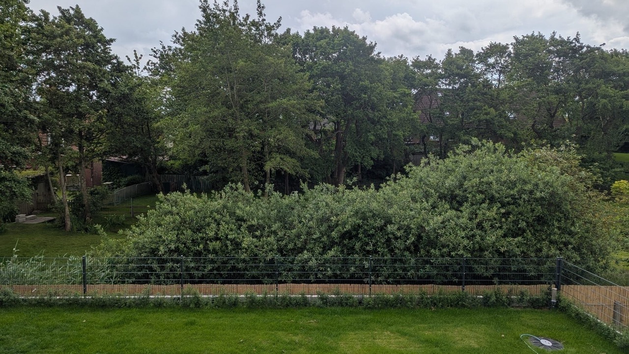 Photo of Outdoor in Baltrum