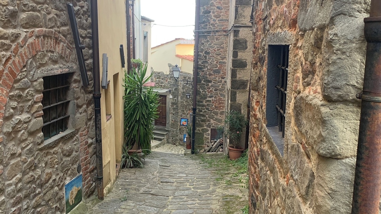 Photo of Outdoor in Collodi