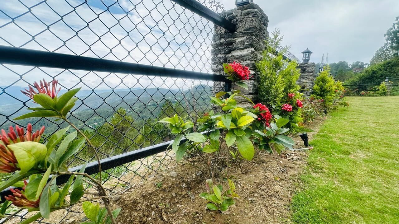 Photo of Outdoor in Almora