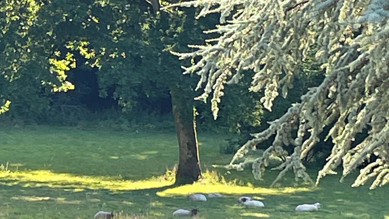 Photo of Others in Orphin