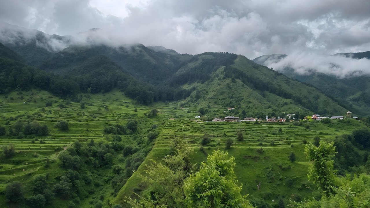 Photo of Others in Tehri