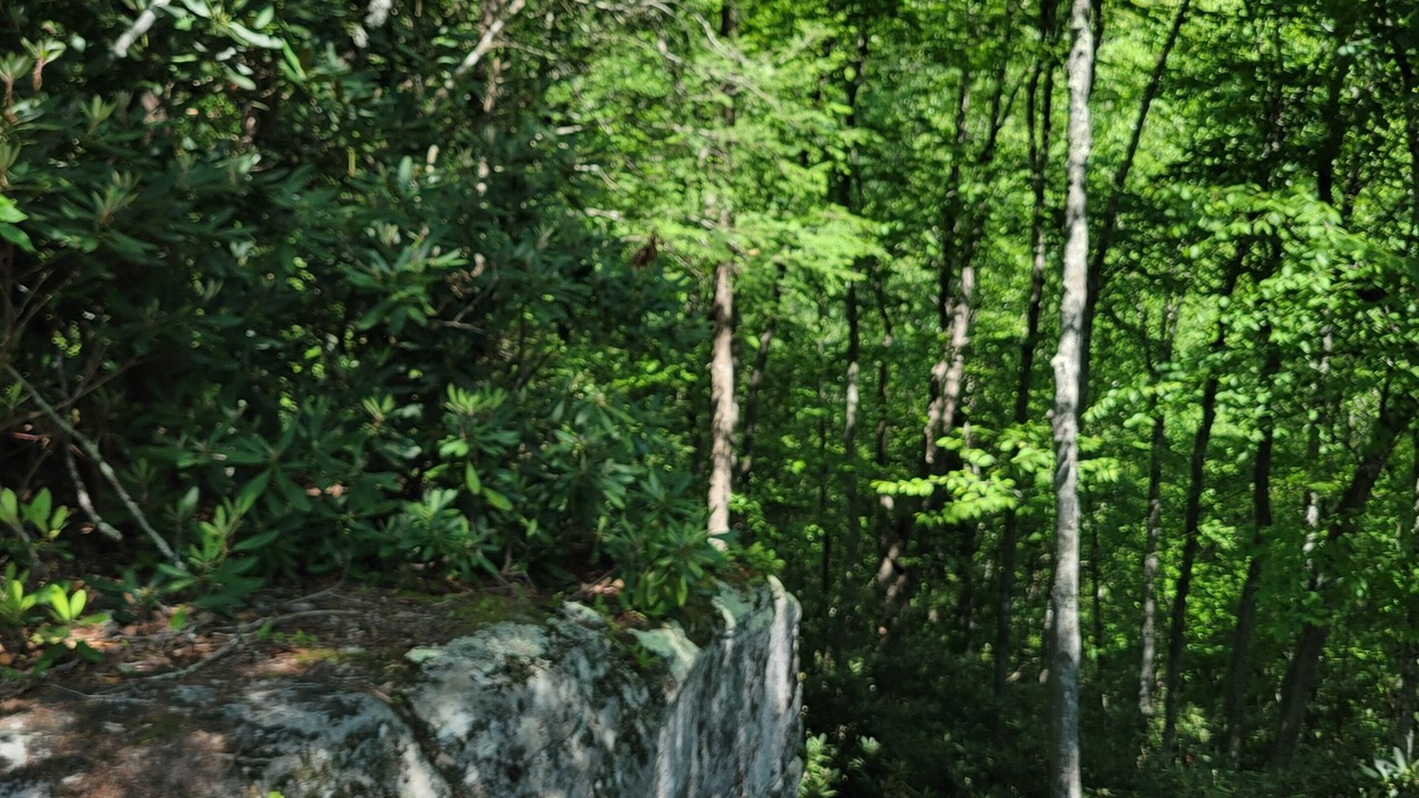 Photo of Others in Kegley