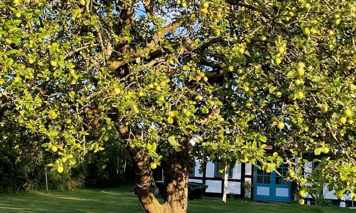 Photo of Outdoor in Haarby