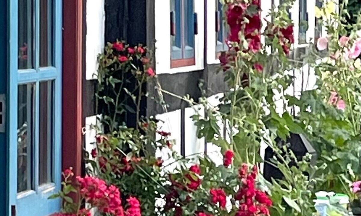 Photo of Outdoor in Haarby
