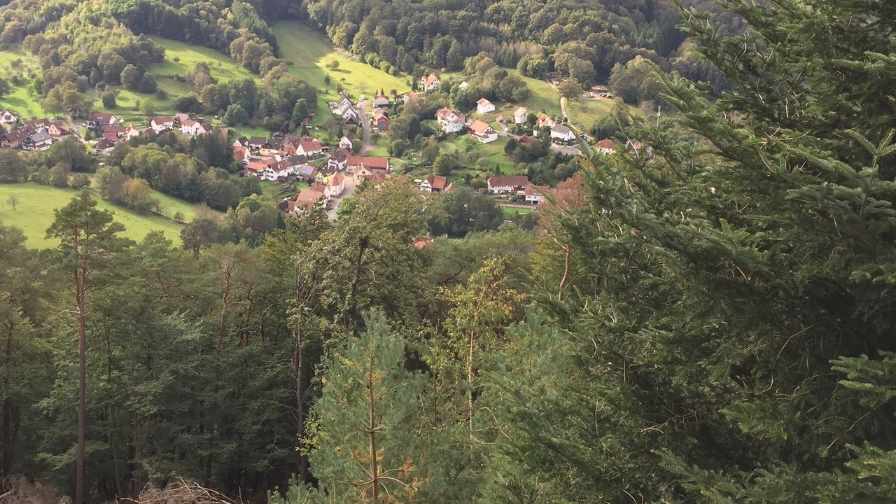 Photo of Others in Erlenbach bei Dahn