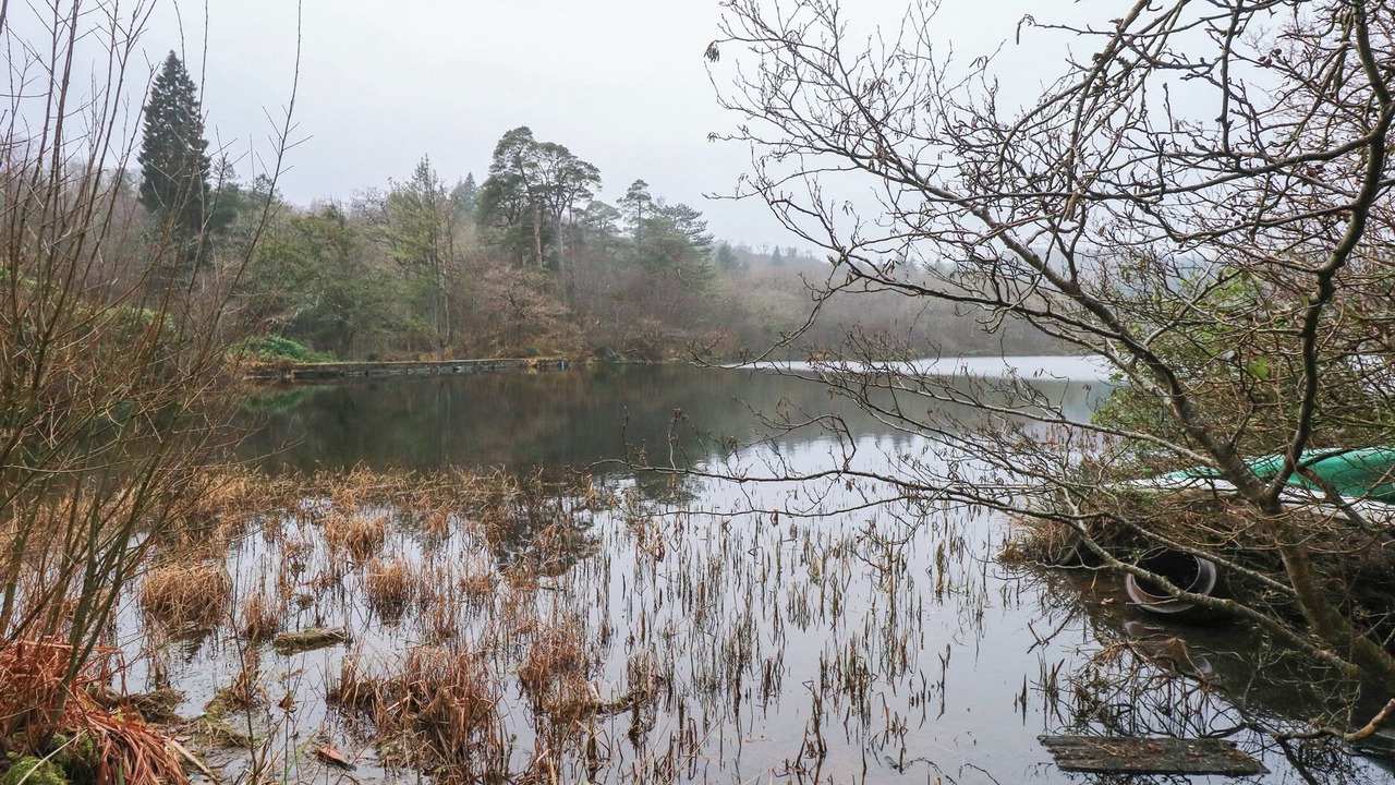 Photo of Others in Maentwrog