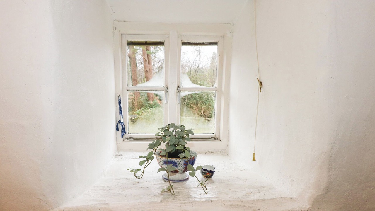 Photo of Others in Maentwrog