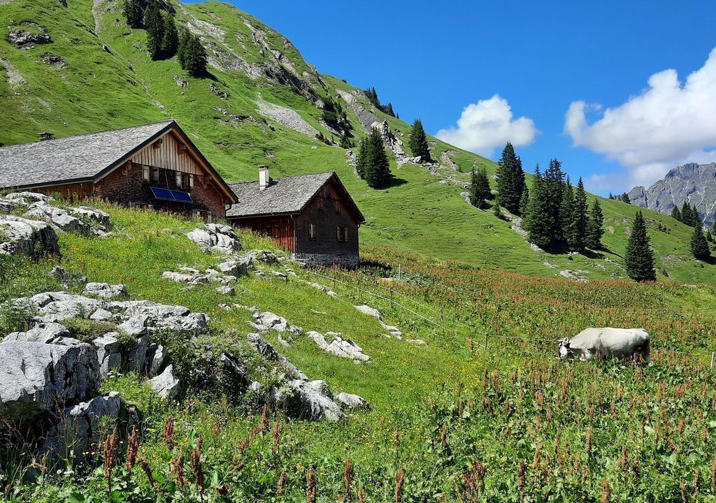 Photo of Others in Fontanella