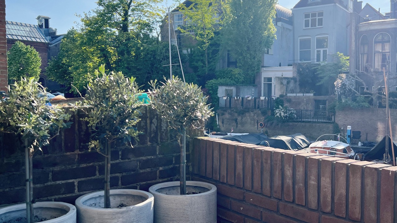 Photo of Outdoor in Dordrecht