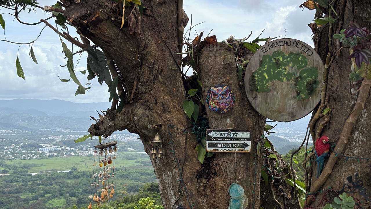 Photo of Others in Hato Nuevo