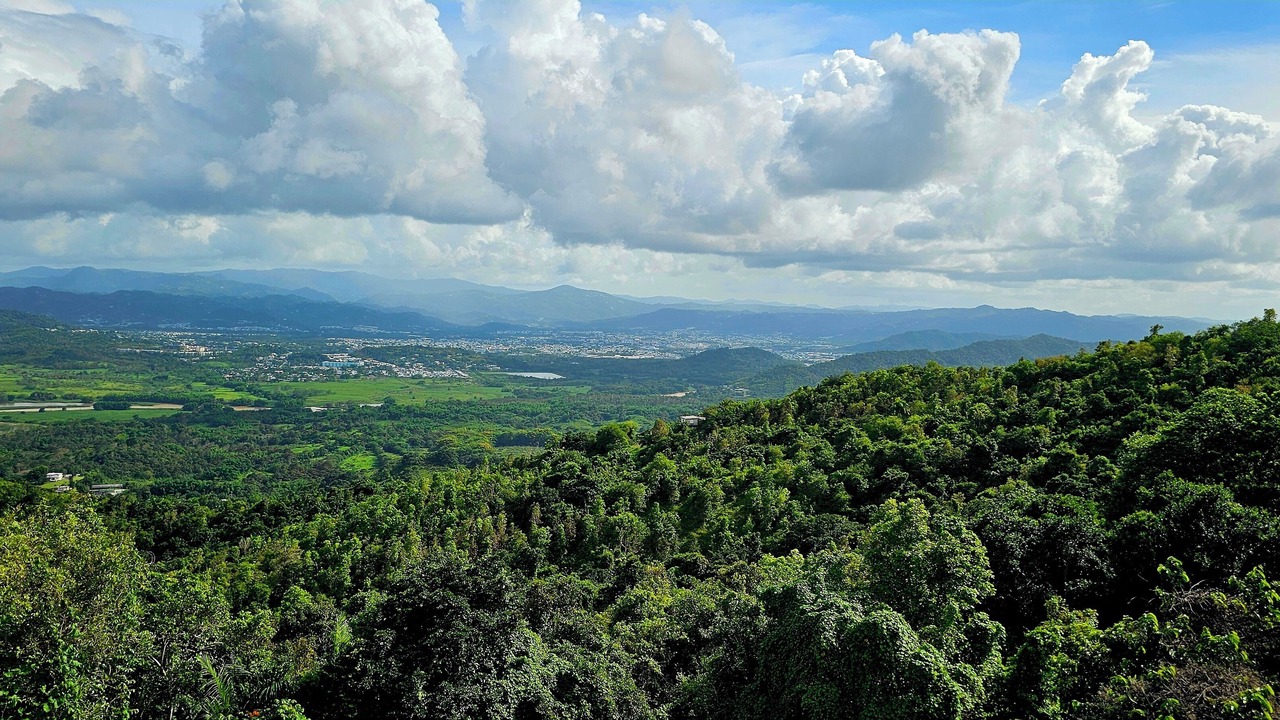 Photo of Others in Hato Nuevo