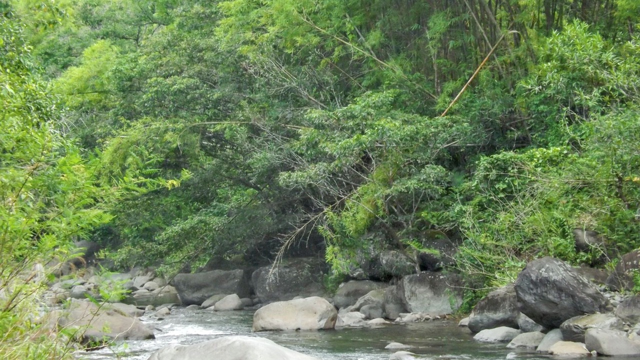 Photo of Others in Marigot