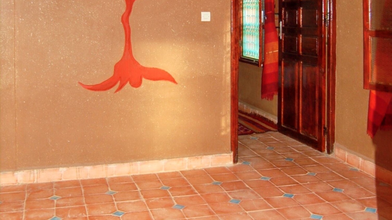 Photo of Others in Amezrou