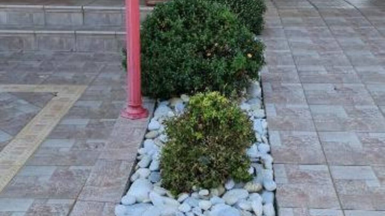 Photo of Outdoor in Drama