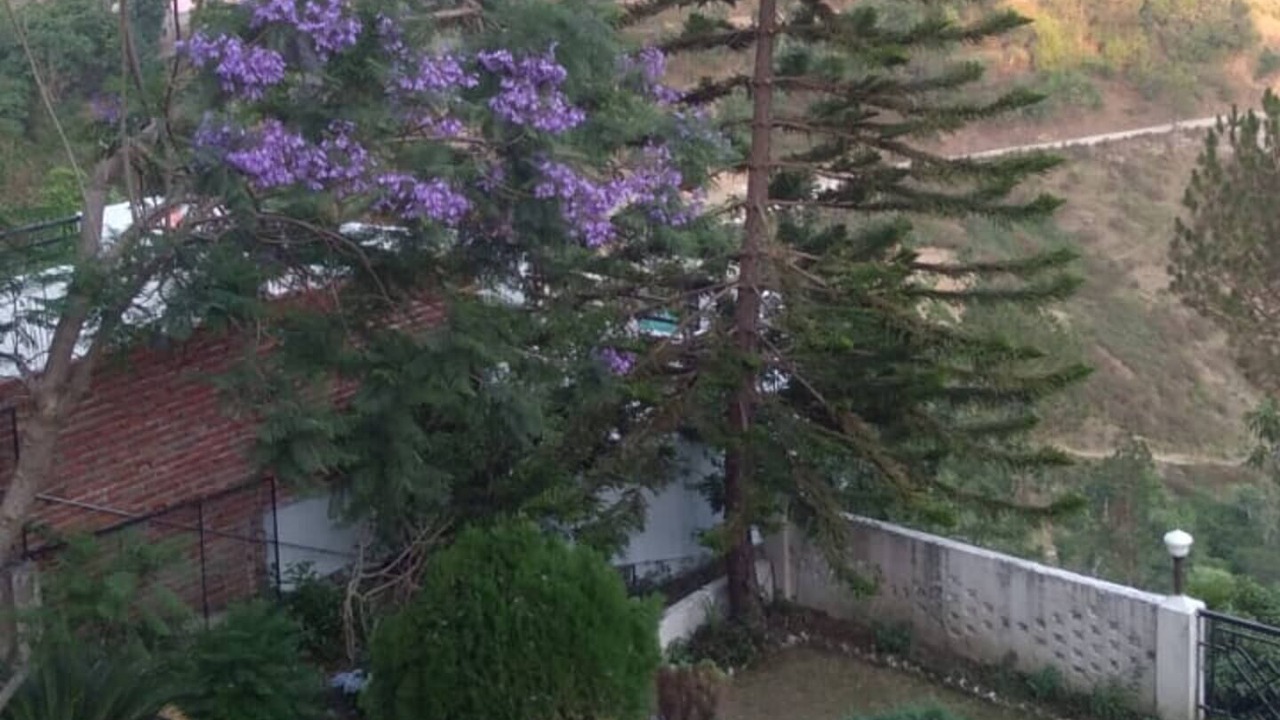 Photo of Outdoor in Bhimtal