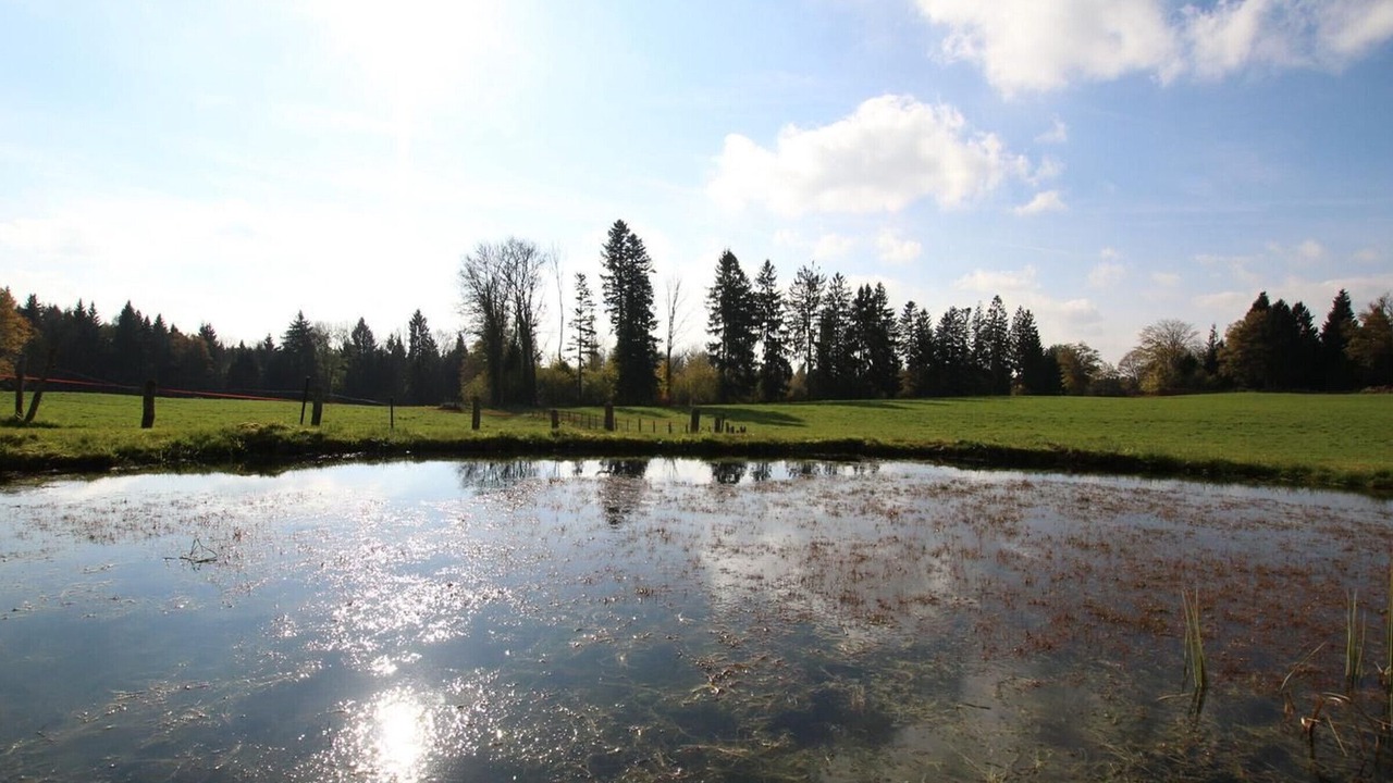 Photo of Others in Vallee du Breuchin