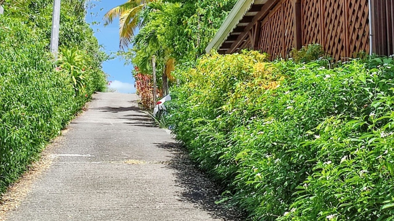 Photo of Others in Marigot